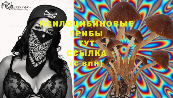 винт Пролетарск